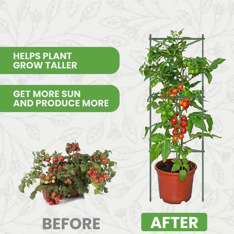 K-Brands Tomato Cage Six-Pack provides multiple cages for various plants.