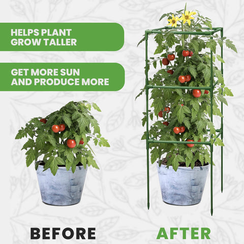 K-Brands Tomato Cage Square supports tomatoes and beans, helping plants grow upright.