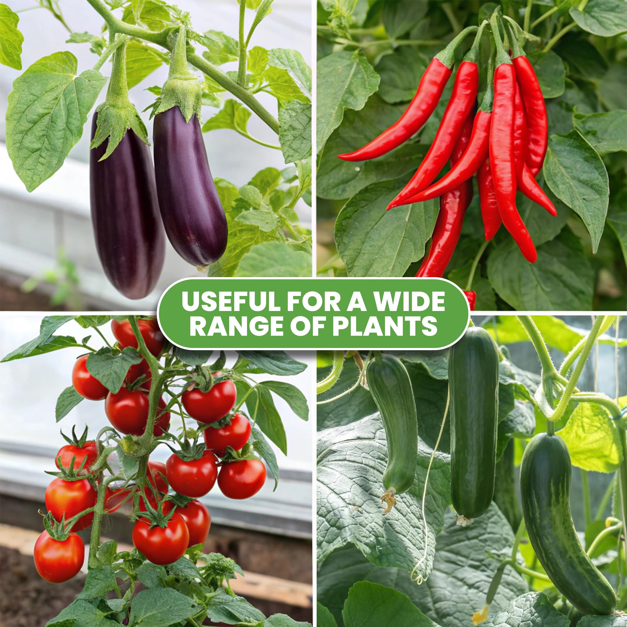 K-Brands Tomato Cage Works with Roses and Beans for vertical growth.