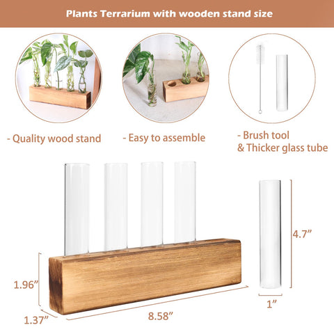 KAXYEW glass tubes support visible root growth and easy watering