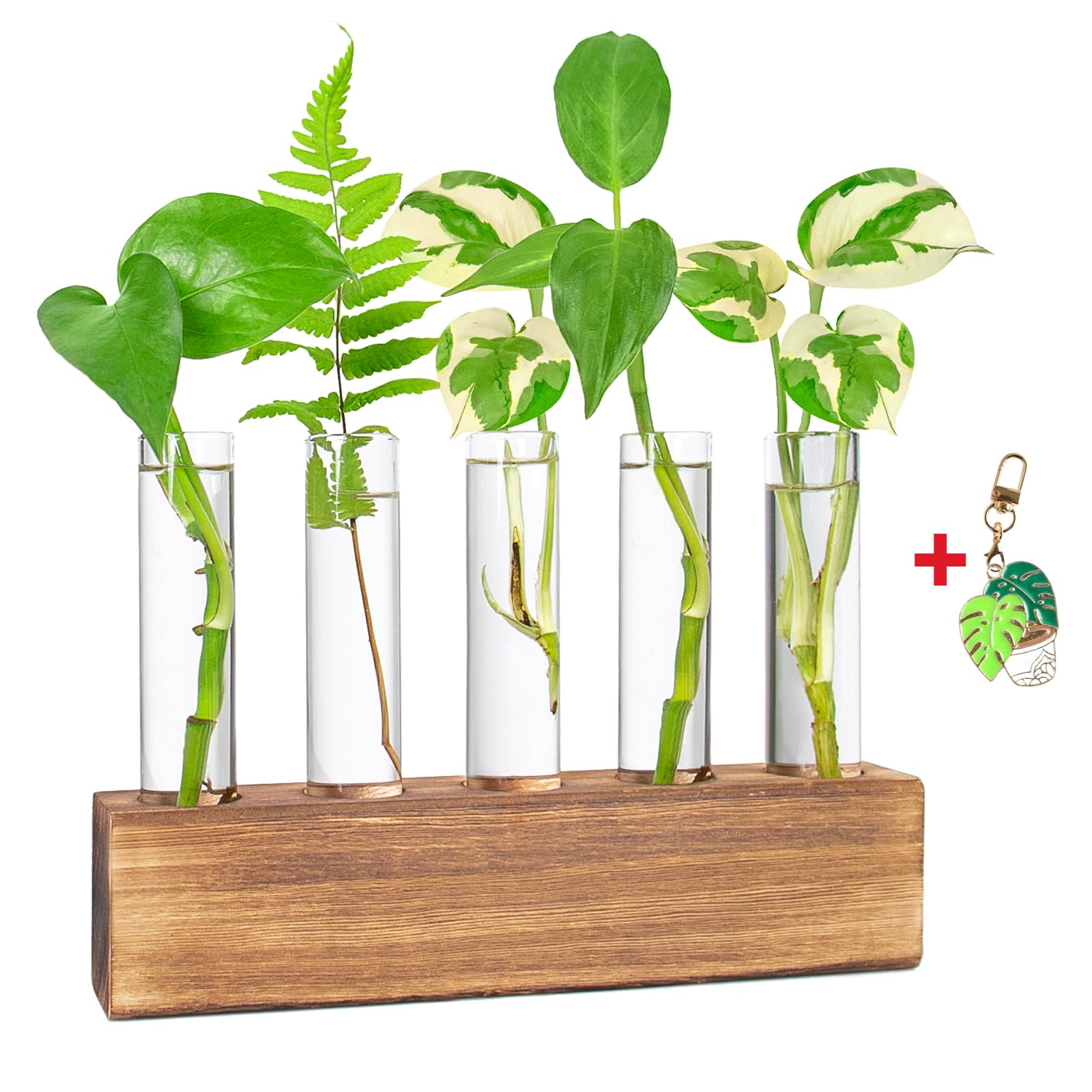 KAXYEW propagation station with wooden stand and glass tubes for easy plant cuttings