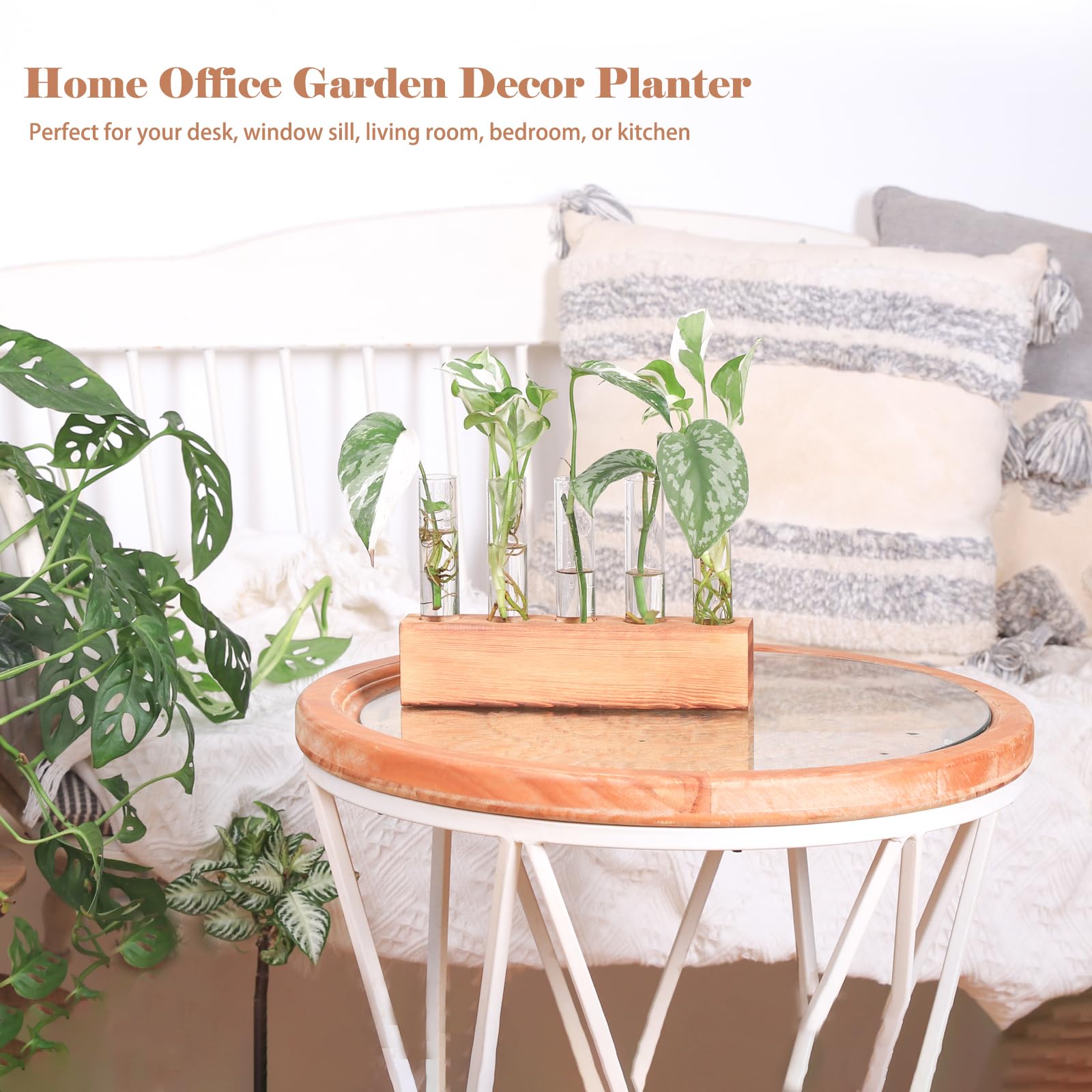 KAXYEW starter station supports propagation of Lucky Bamboo and Pothos