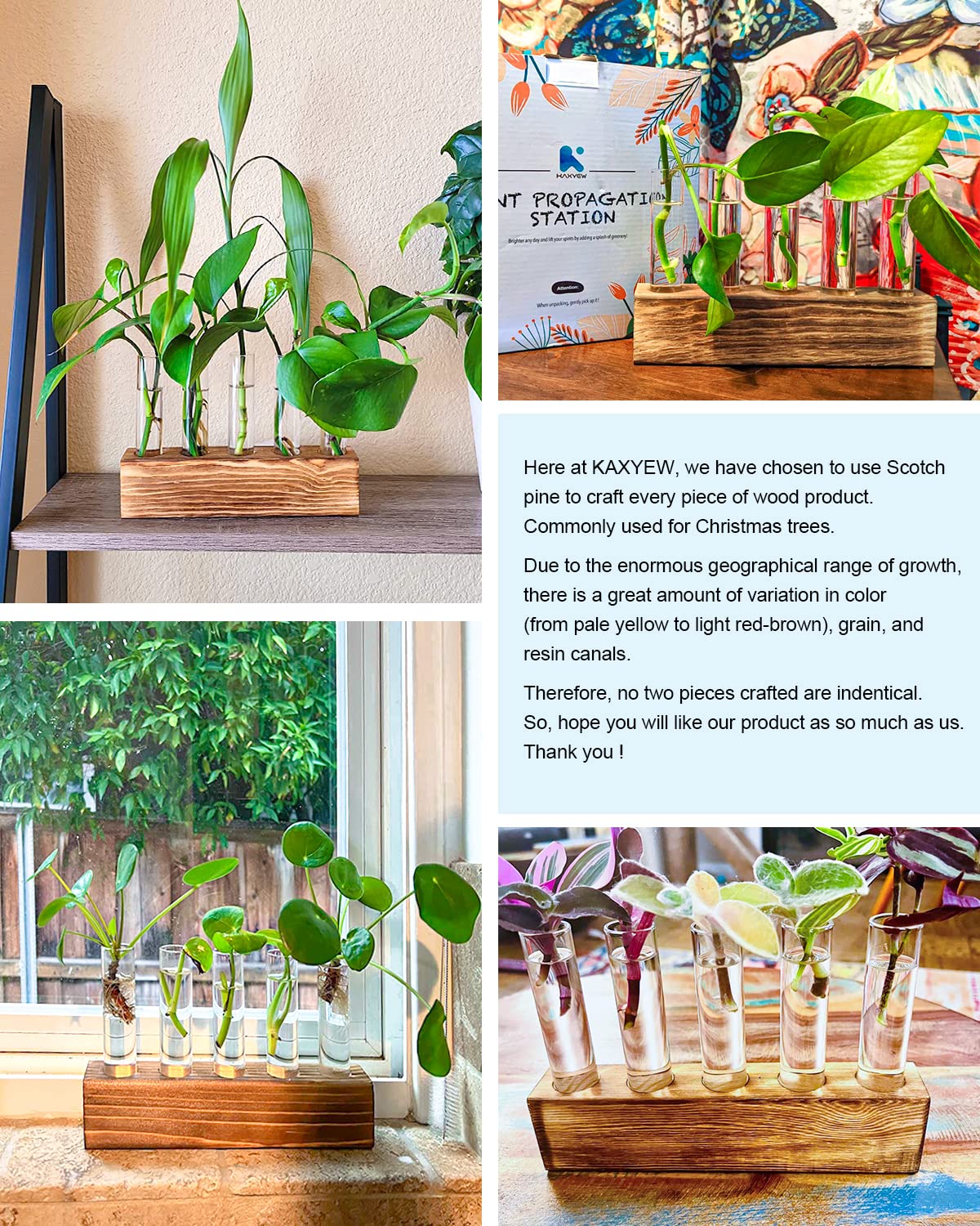 KAXYEW propagation station package includes 6 tubes and cleaning brush