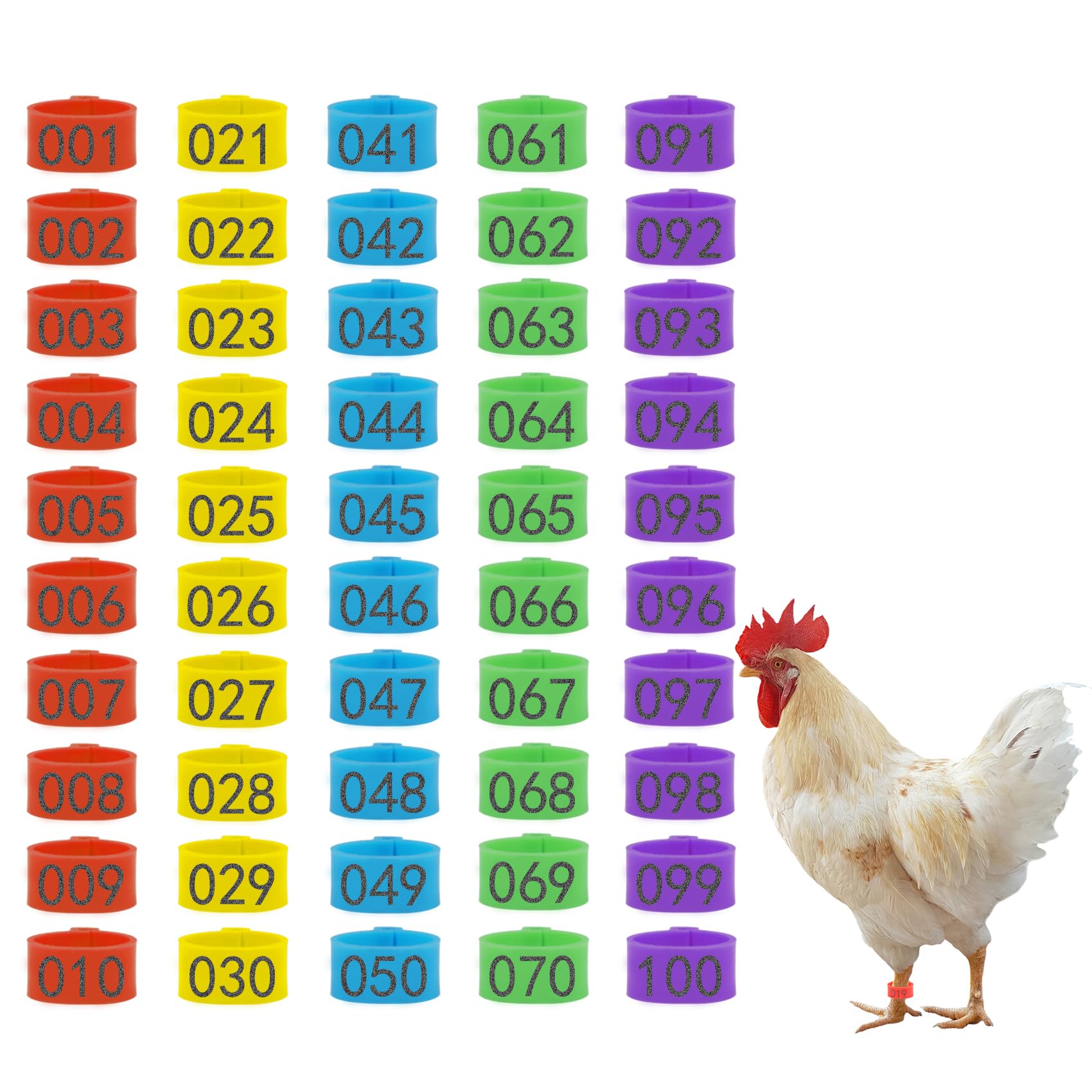 Kailund chicken leg rings in five colors for color-coded flock management