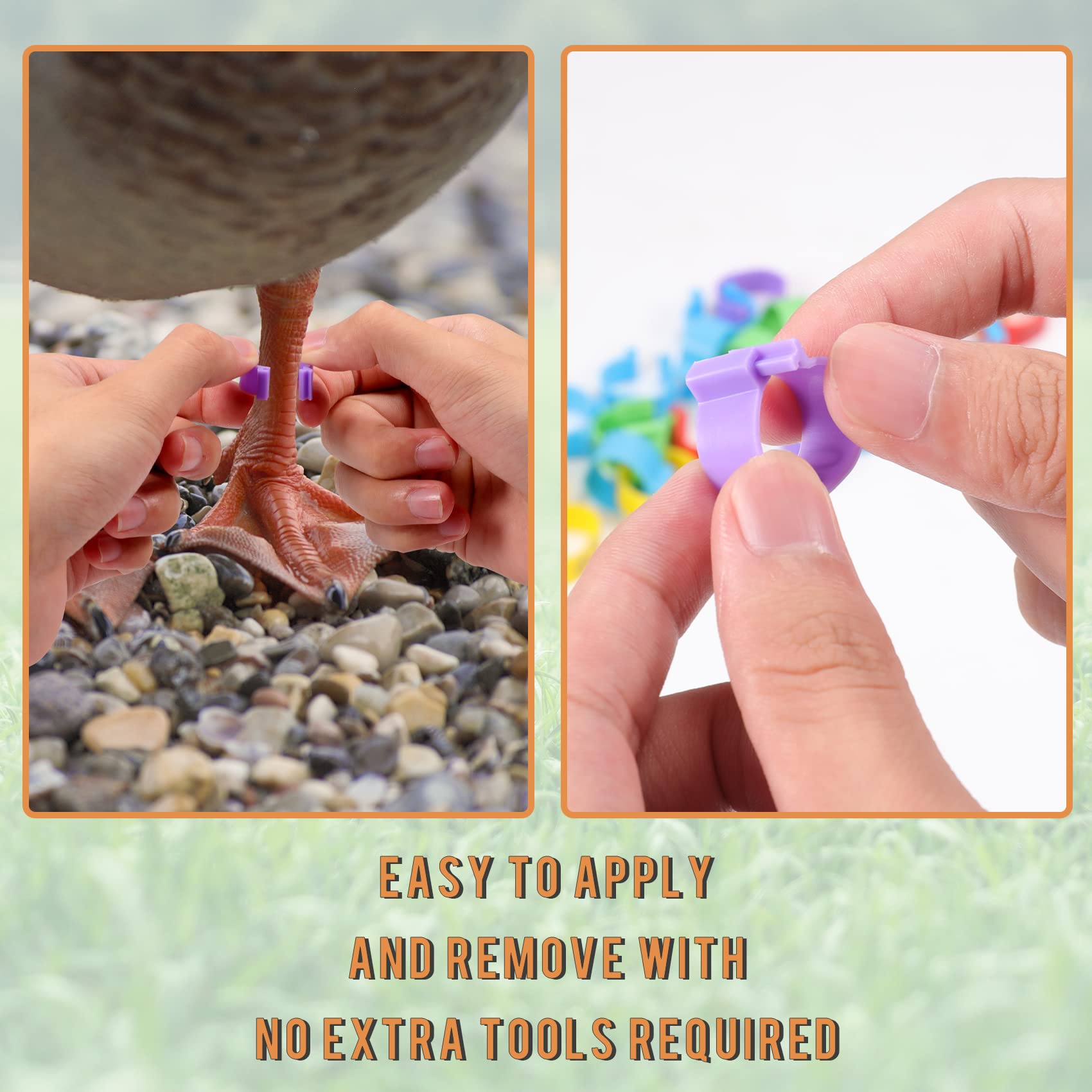 Kailund easy-remove clip design for hassle-free switching