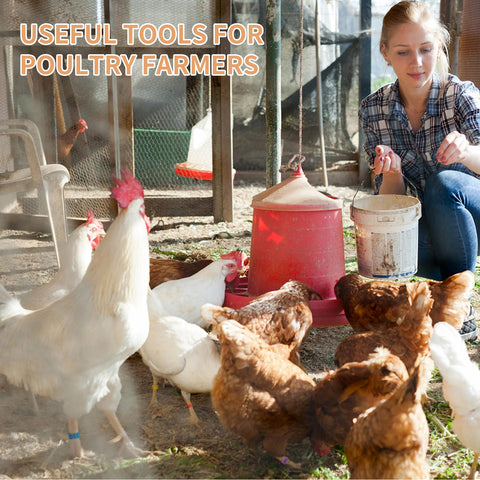 Kailund multi-use poultry bands for organizing groups and wires