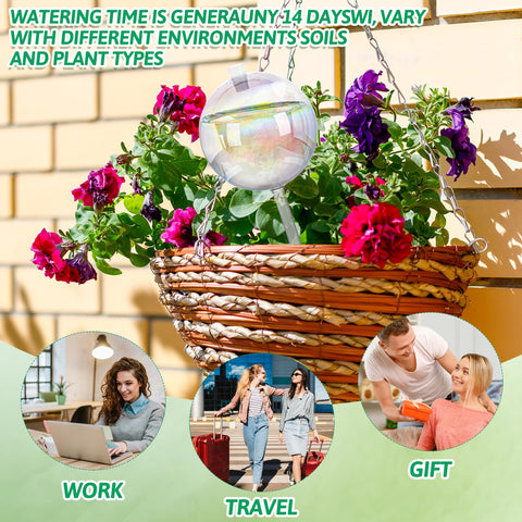 Kaimfdg durable glass globe kit with accessories for easy care.