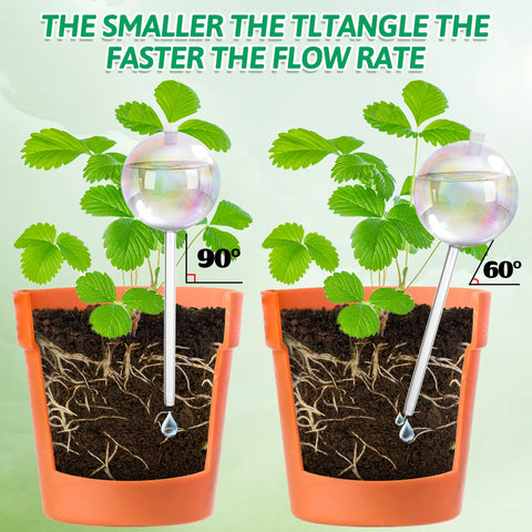 Kaimfdg rainbow glass finish adds color to plant decor and ambiance.