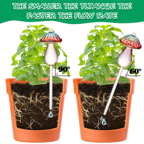 Kaimfdg watering bulbs are easy to fill and seal for tidy irrigation.