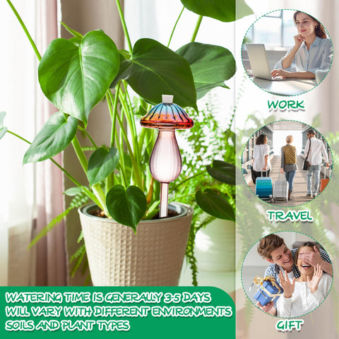 Kaimfdg 4-pack keeps plants hydrated when you’re away.