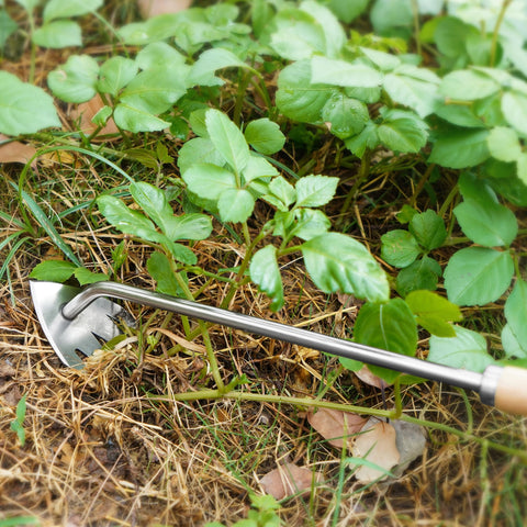 Kaimfdg paving brick moss removal tool clears surface moss efficiently.