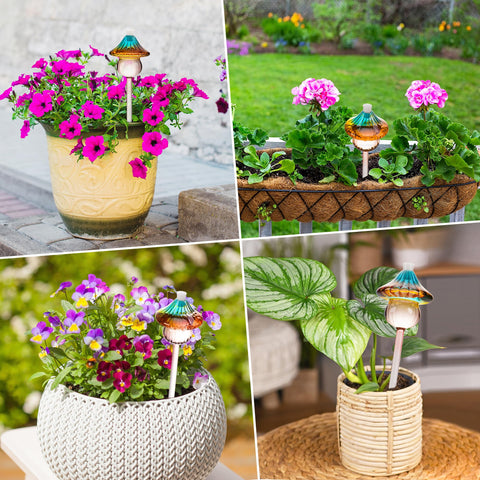Kaimfdg self-watering globes travel-friendly setup keeps plants hydrated during trips.