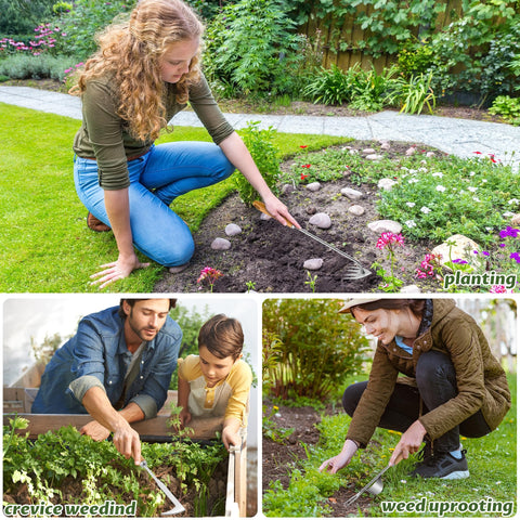 Kaimfdg versatile weed remover for digging, loosening soil, and transplanting.