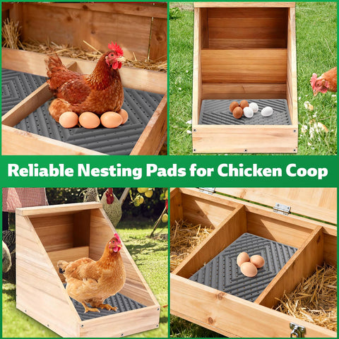 Kaipeia pad is durable for daily coop use and peck resistance.