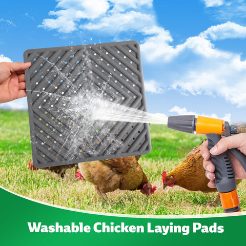 Kaipeia soft silicone nesting pad provides gentle surface for hens.