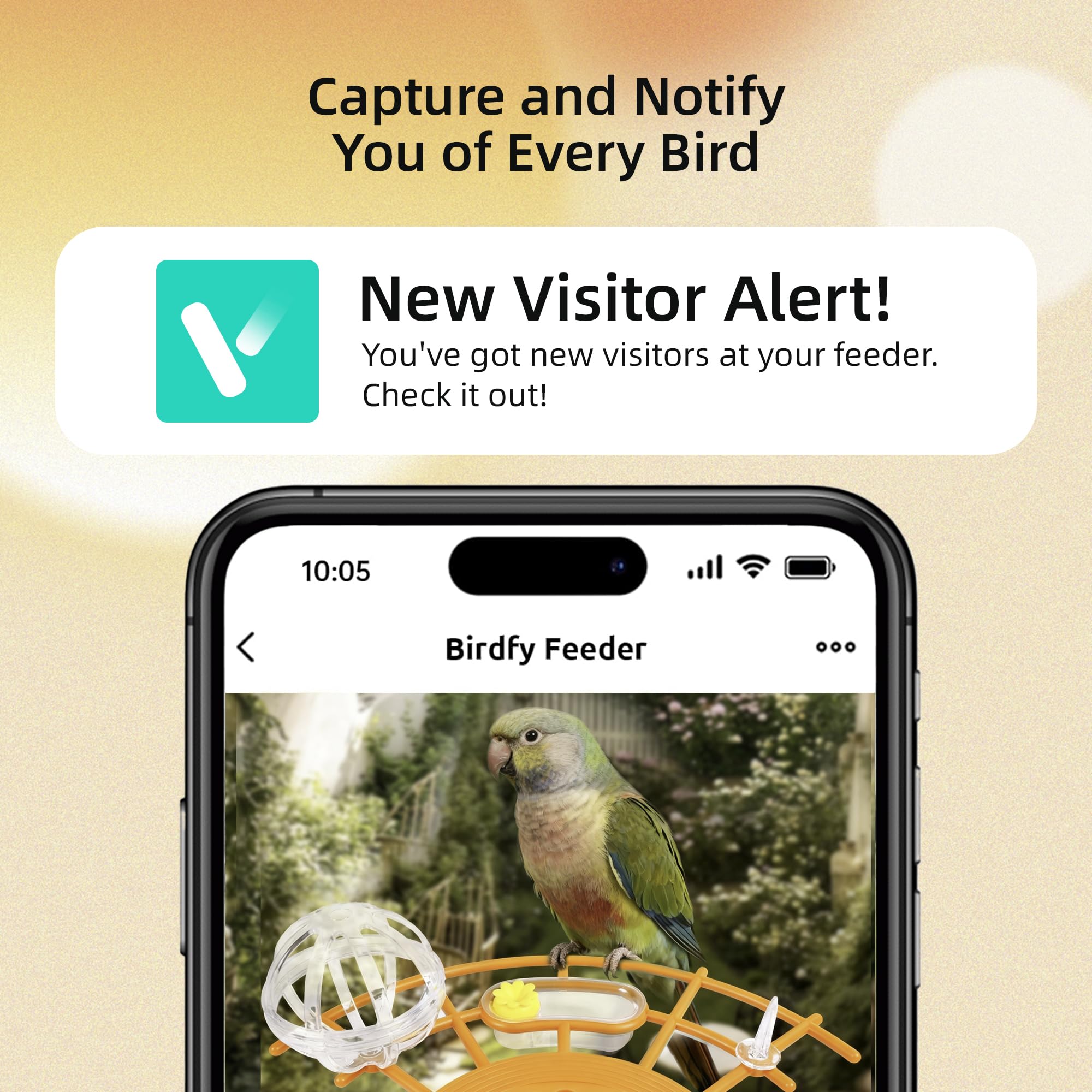 Kaixincz 2K HD live stream shows backyard birds in real time