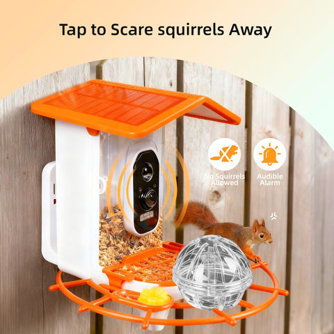 Kaixincz Feeder with mounting options for tree, pole, or fence