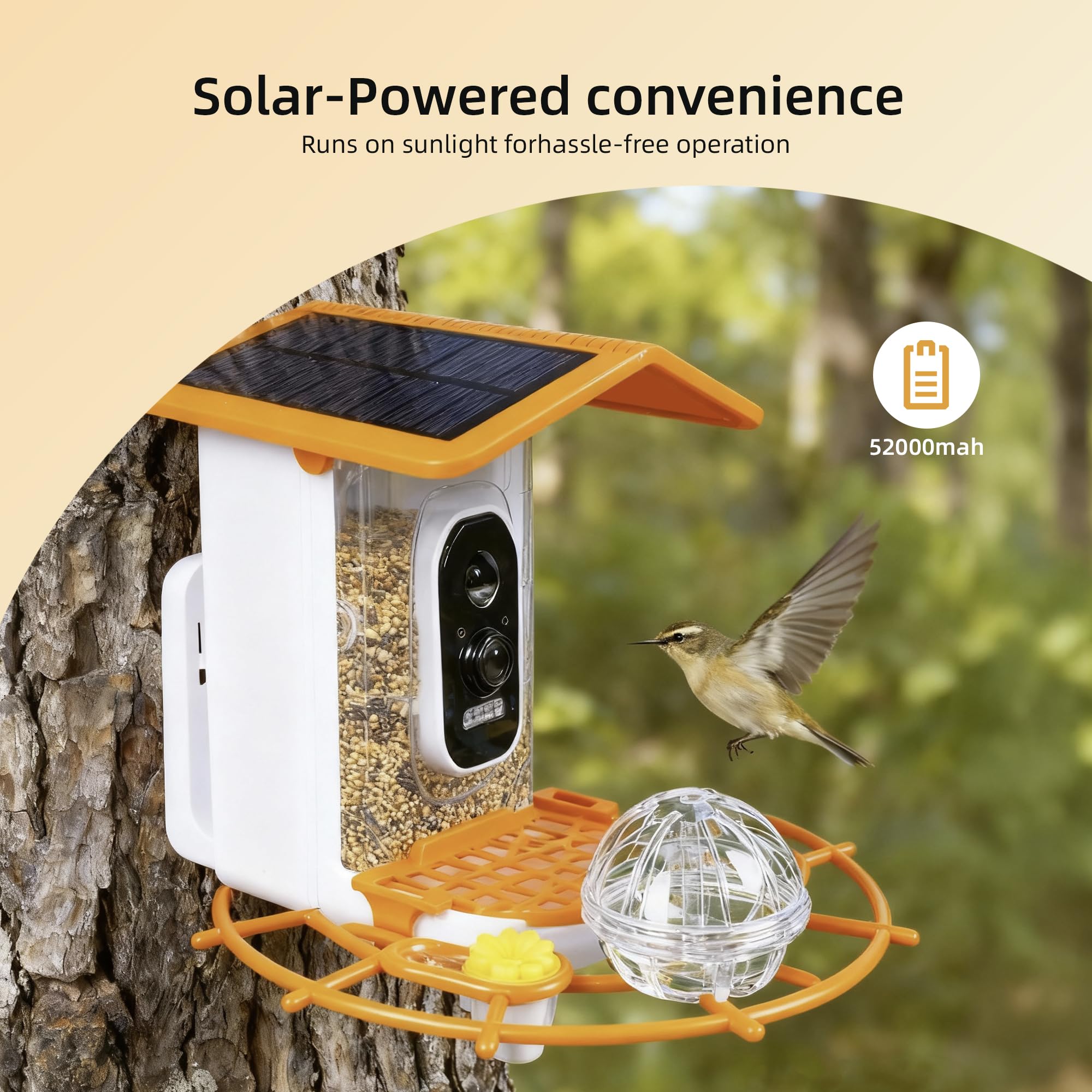 Kaixincz Seed capacity of 4.2 cups supports longer observation sessions