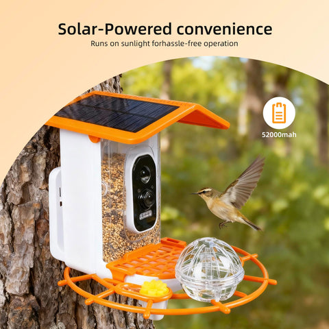 Kaixincz Seed capacity of 4.2 cups supports longer observation sessions