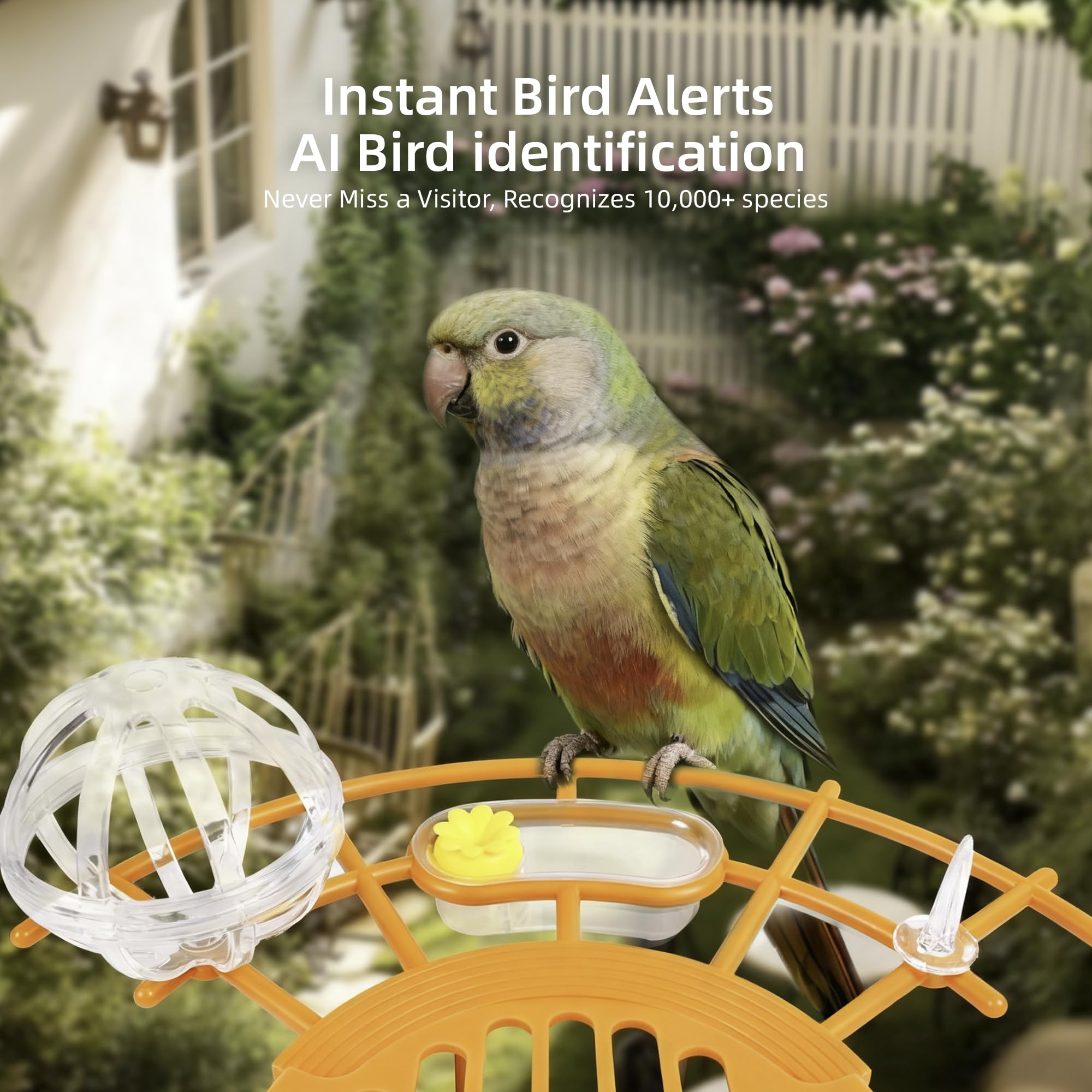 Kaixincz Bird Feeder solar panel demonstrates powered operation for uninterrupted watching
