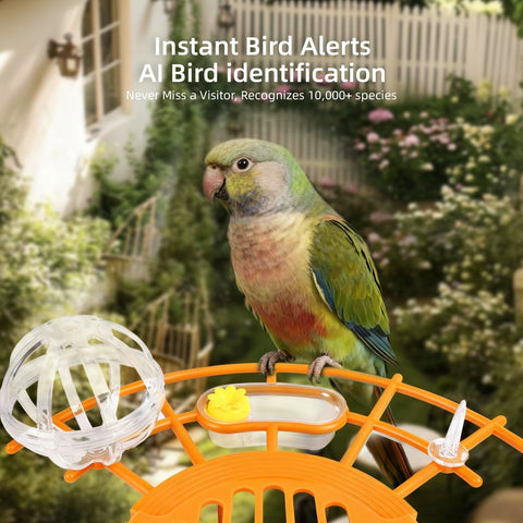 Kaixincz Bird Feeder solar panel demonstrates powered operation for uninterrupted watching