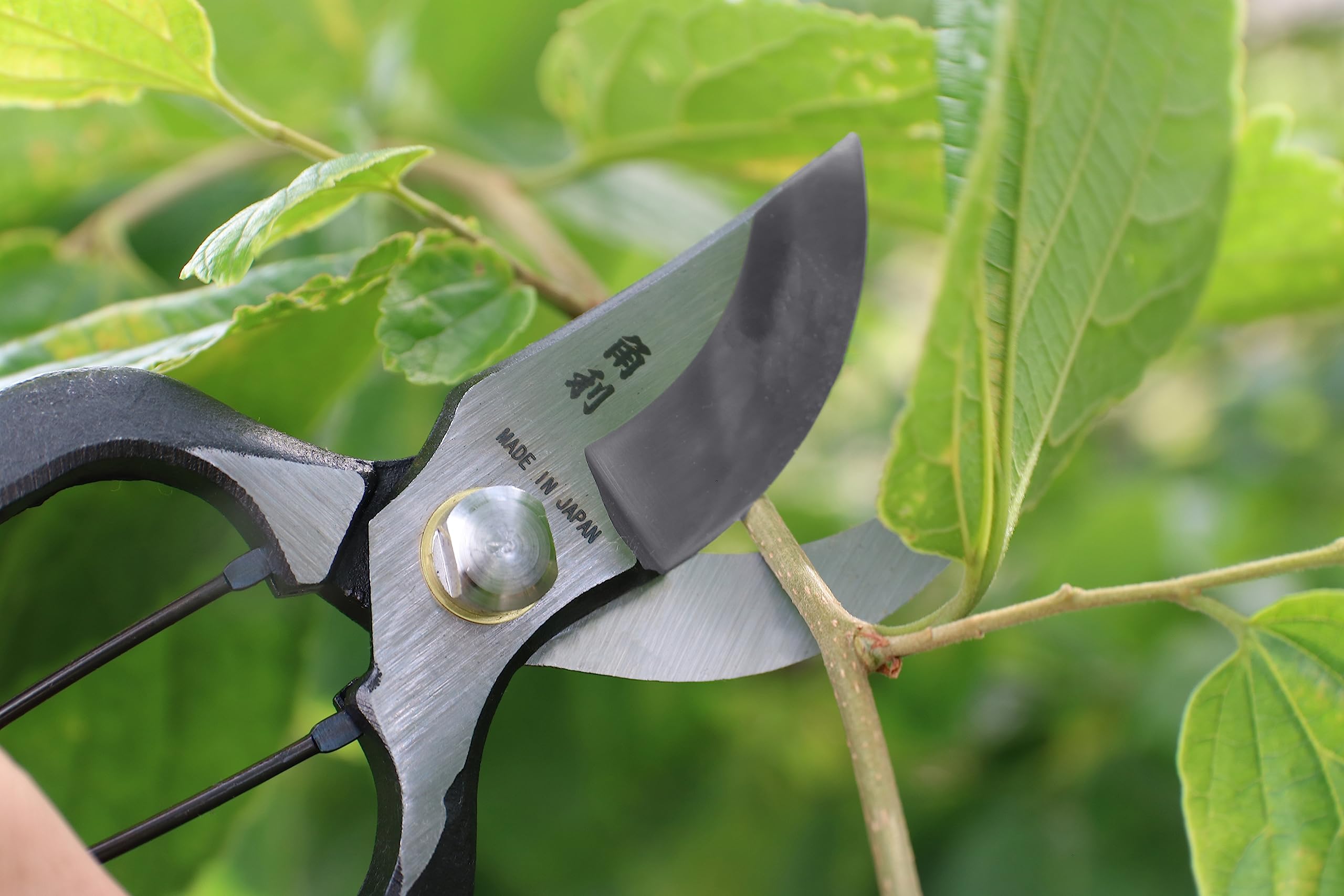KAKURI pruning shears in use in a garden for precise trimming