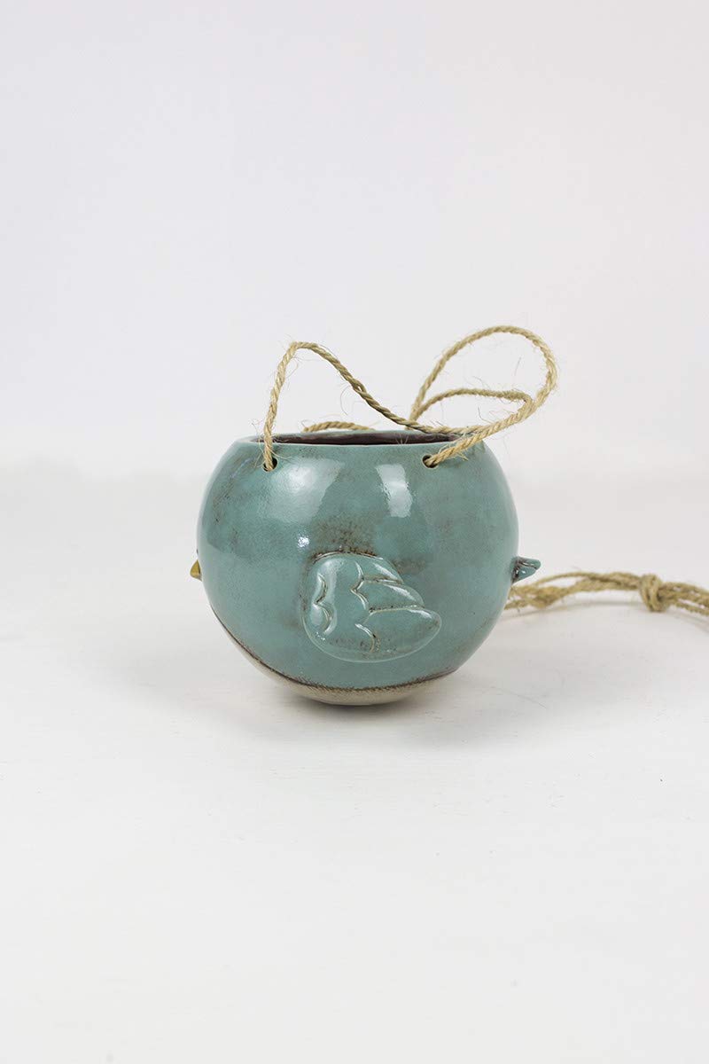 KALALOU Bluebird 7-inch diameter planter for small plants.