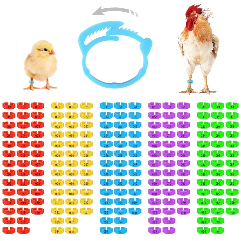 Kalekey chicken leg bands multicolor set for clear flock identification and organization.