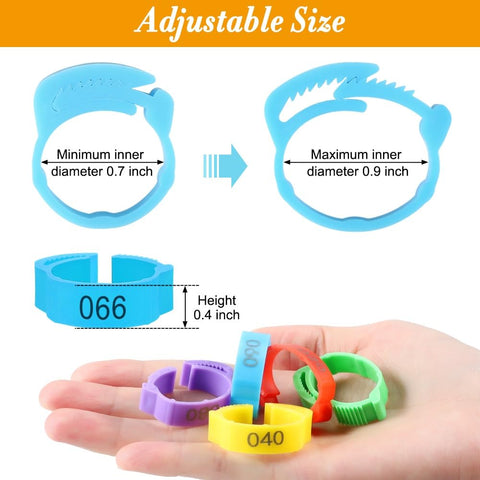 Kalekey leg bands with snap-lock design enable quick, tool-free application.