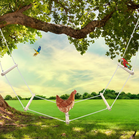 Kalekey swing set perching and swinging for active poultry.