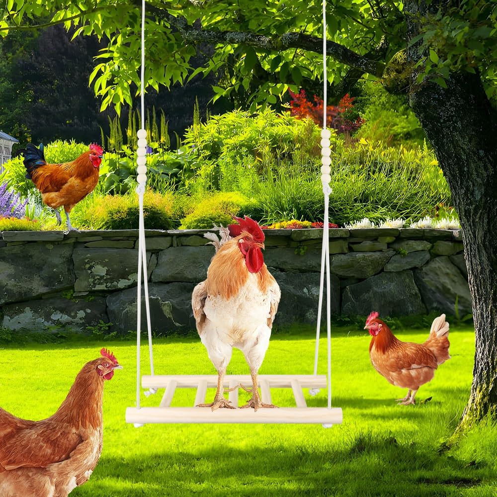 Kalekey swing set enrichment to reduce boredom in coops.