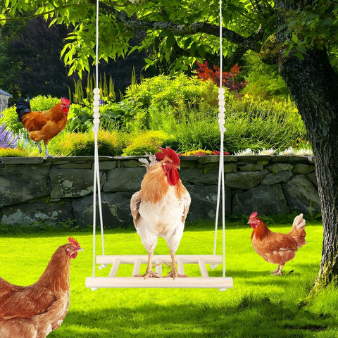 Kalekey swing set enrichment to reduce boredom in coops.