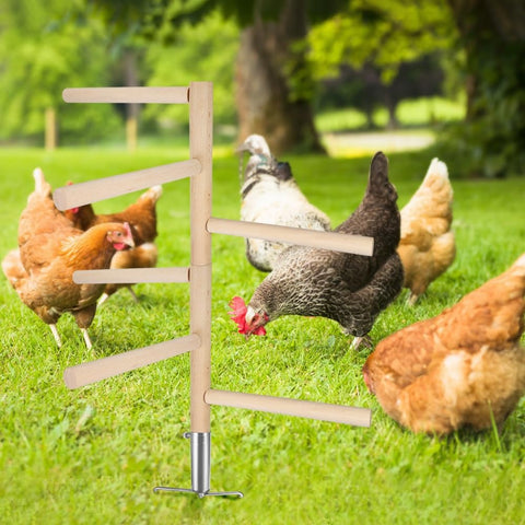 Kalekey six-branch perch supports natural perching behavior and enrichment.