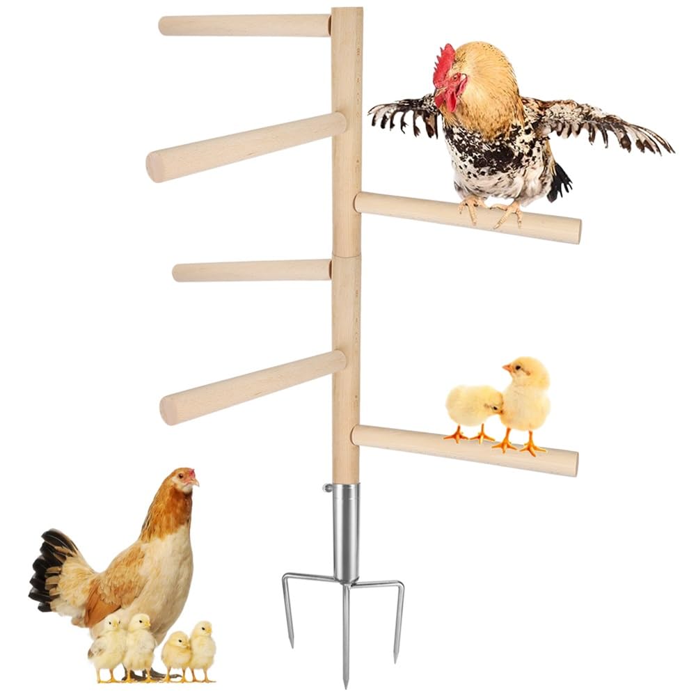 Kalekey extra-large chicken perch with six branches roosting setup for multiple birds.