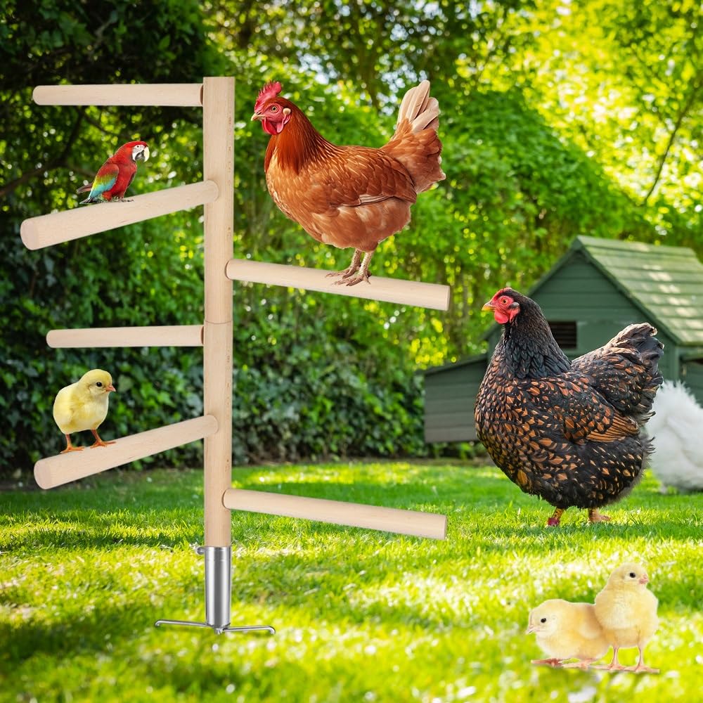 Kalekey universal design fits chickens, parrots, pheasants, and backyard birds.