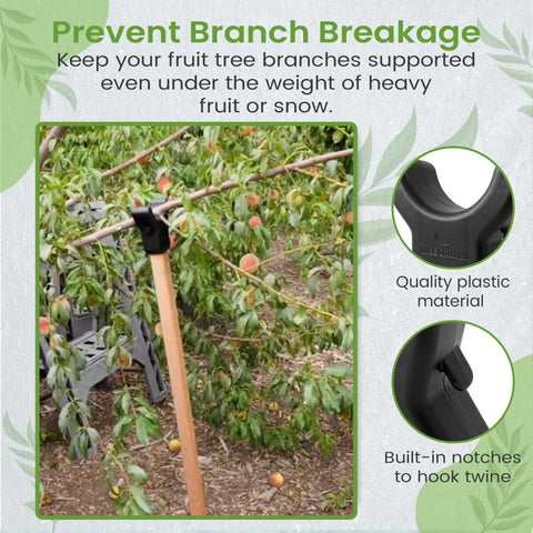 Kalinar leaning-tree height range image illustrates 16 to 74 inches adjustability.