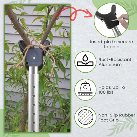 Kalinar tie-notches enable safe, bark-friendly branch fastening.