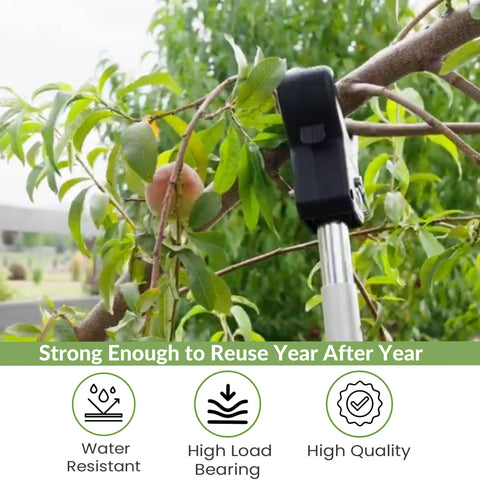 Kalinar Tree Crutches 2-Pack used with round pole setup for flexible staking