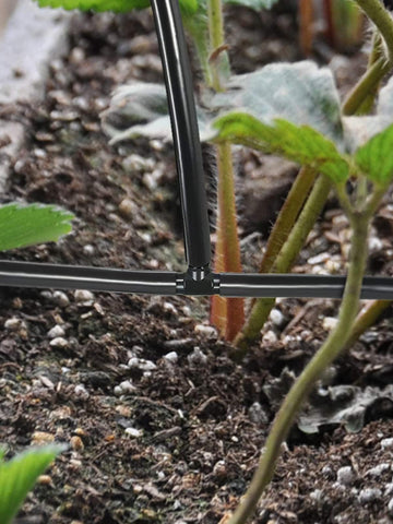 Kalolary irrigation for potted plants enabling easy watering.