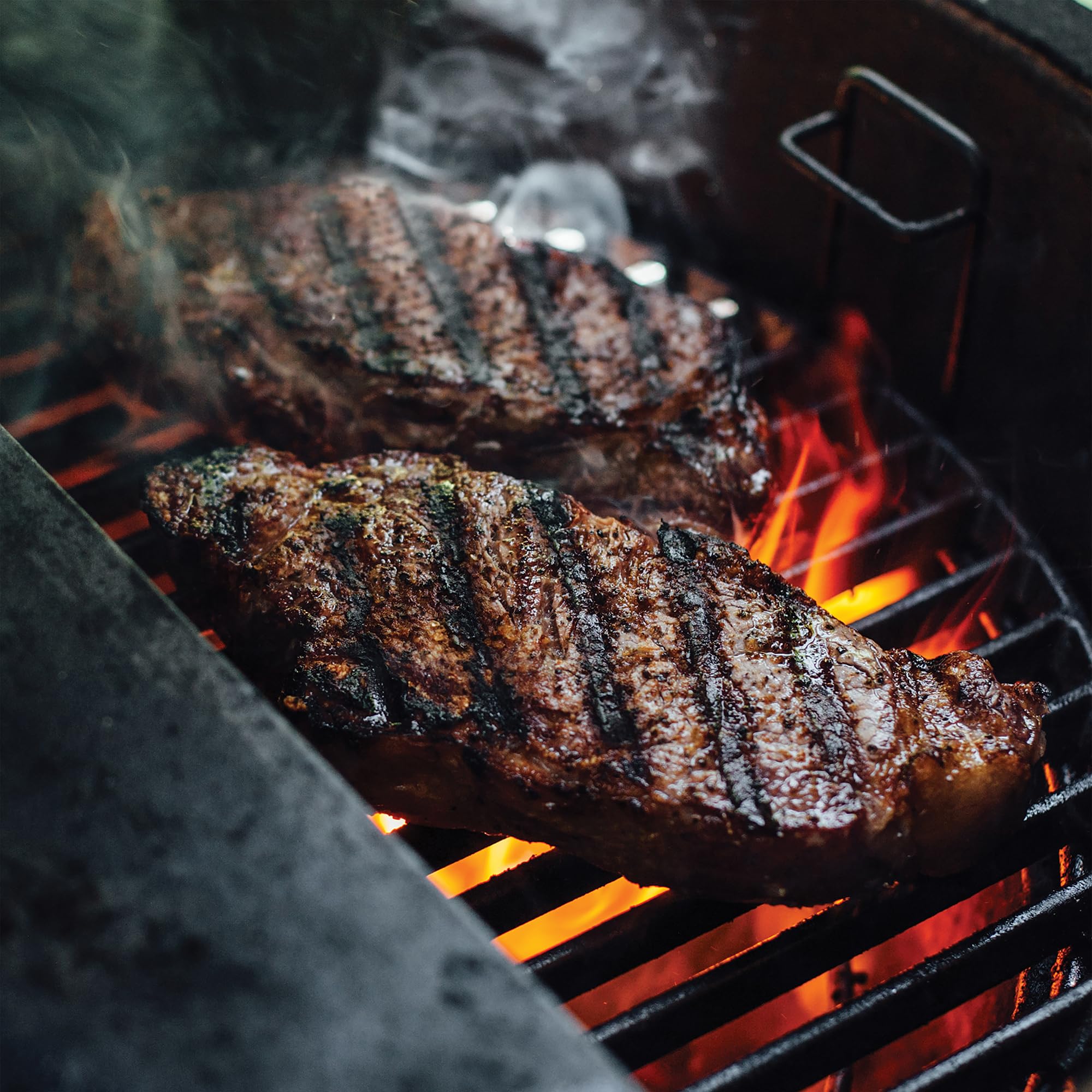 Kamado Joe durable cast-iron grate for high-heat use.