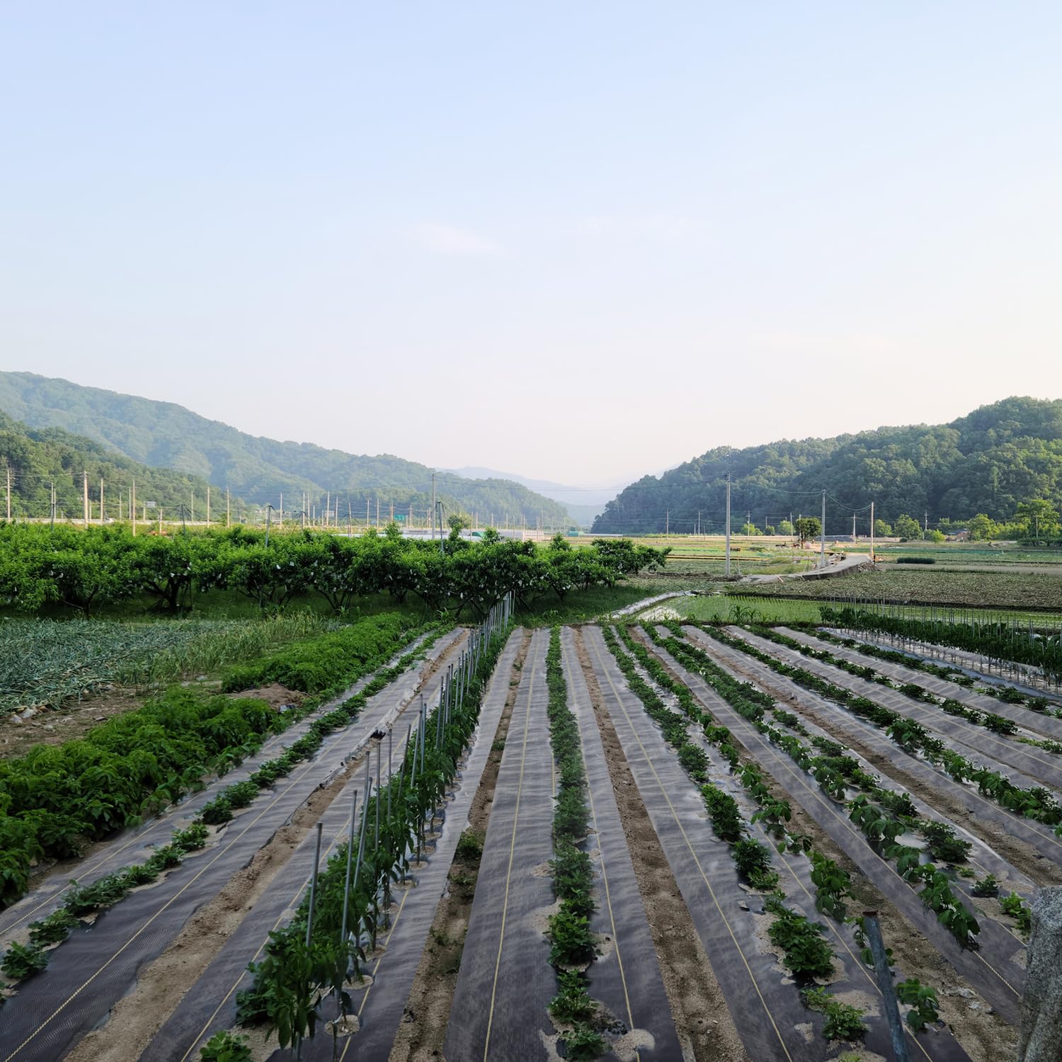 KANAGAWA UV-resistant weed barrier under sun exposure