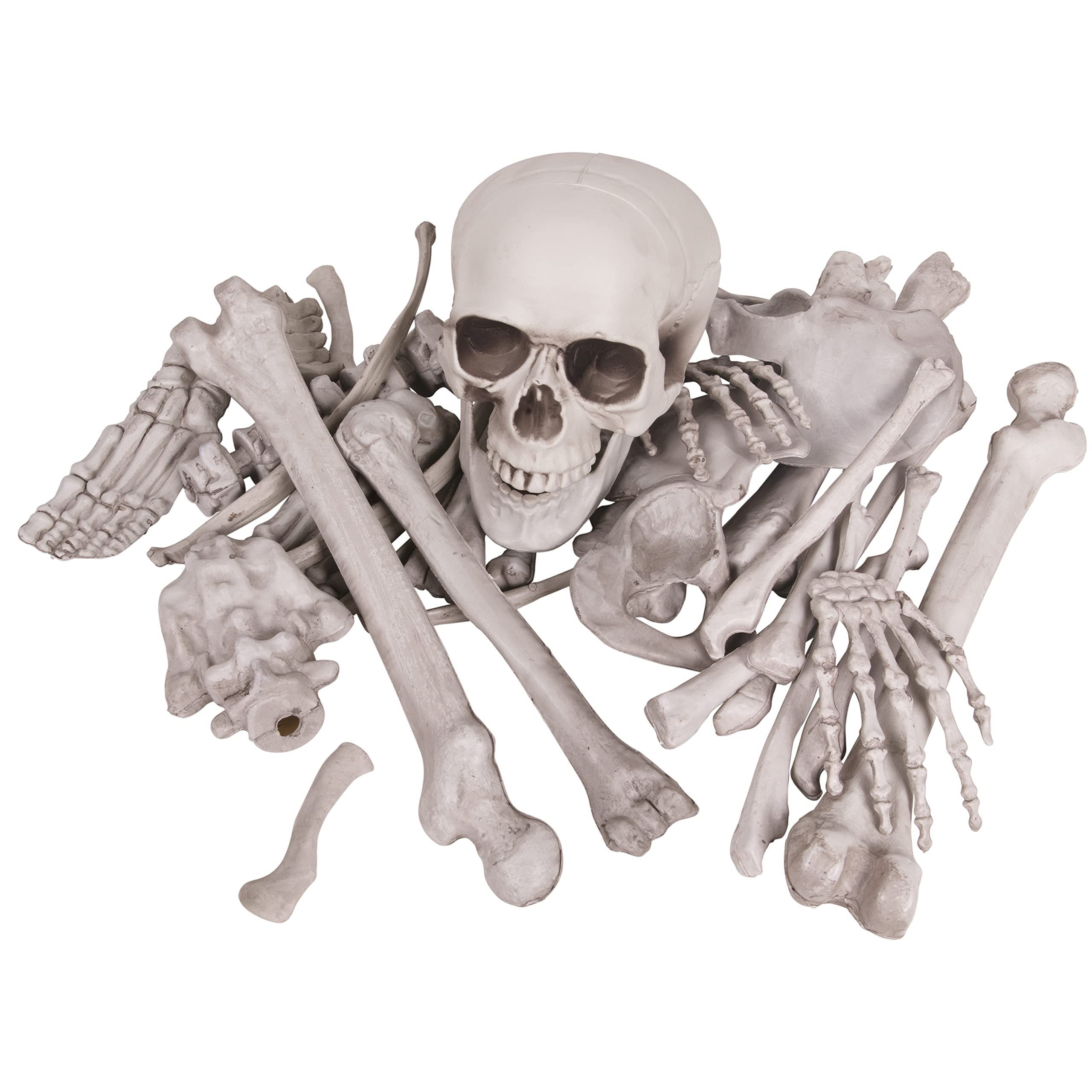 Kangaroo 30-piece skeleton bones collection ready for outdoor yard decor and spooky scenes.