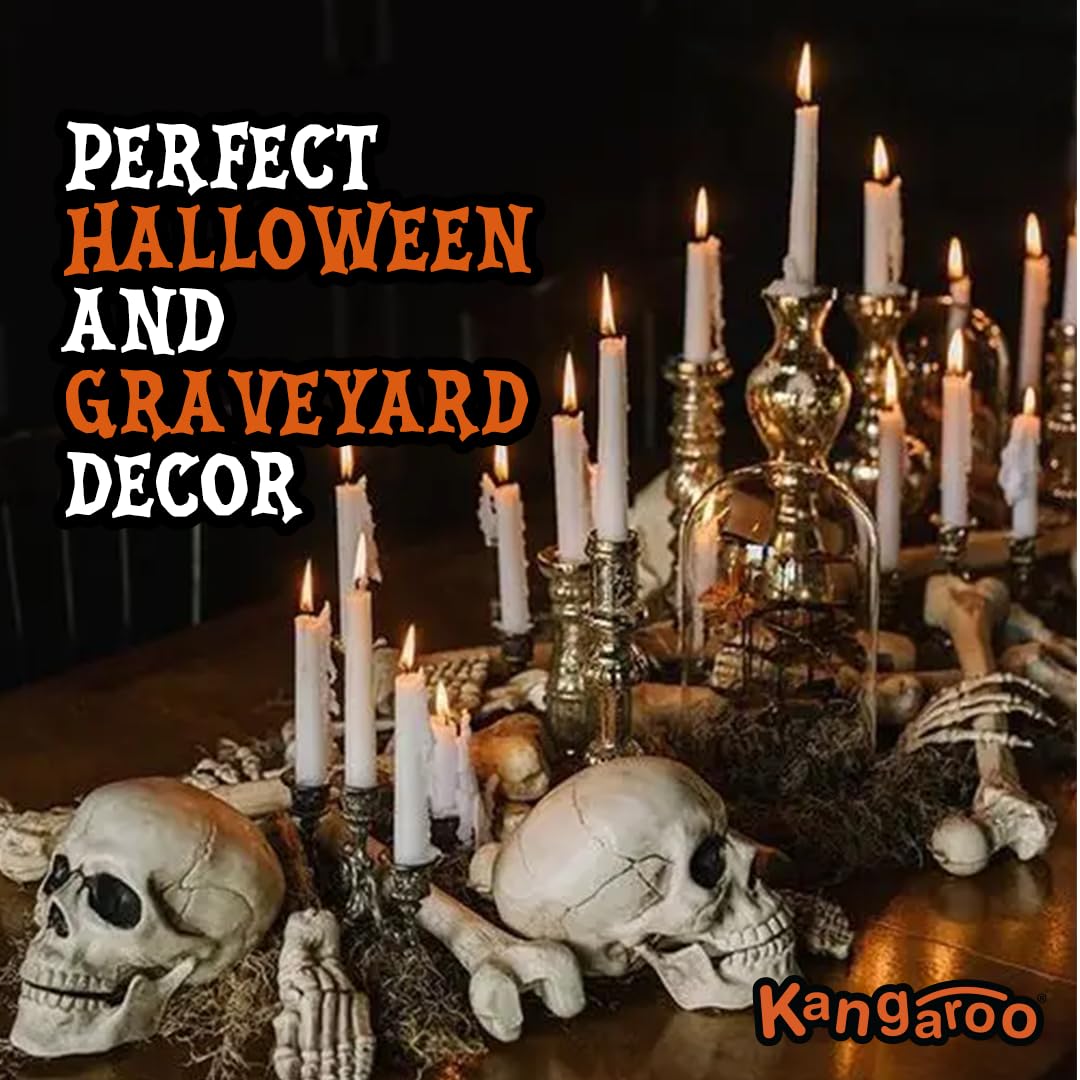 Kangaroo classroom skeleton study tools support engaging lessons and science projects.