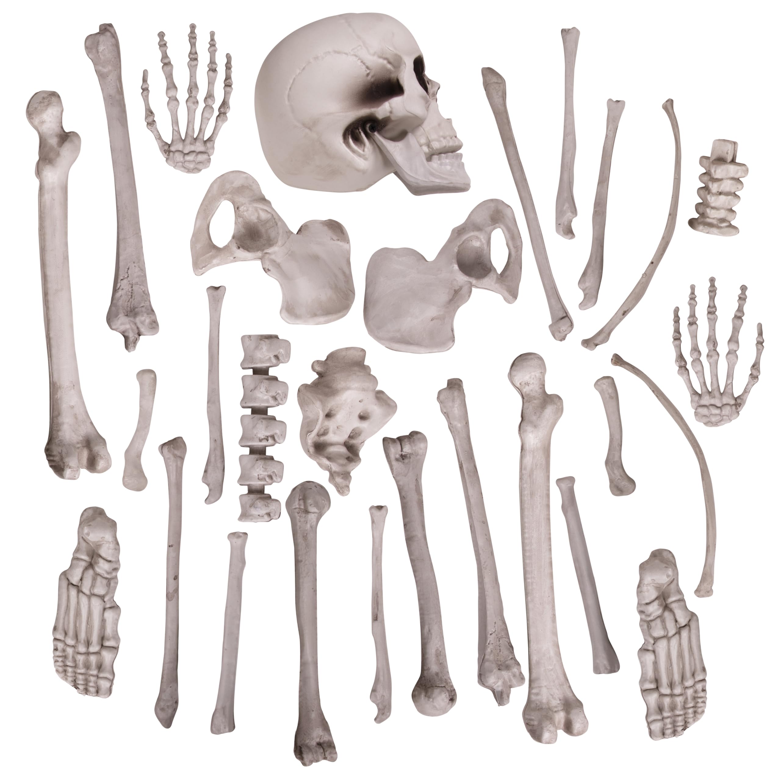 Kangaroo Halloween skeleton prop pack boosts eerie scenes at events and displays.