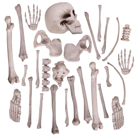 Kangaroo Halloween skeleton prop pack boosts eerie scenes at events and displays.