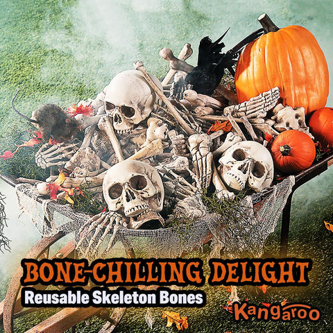 Kangaroo plastic skeleton bones are durable yet lightweight for easy arranging.