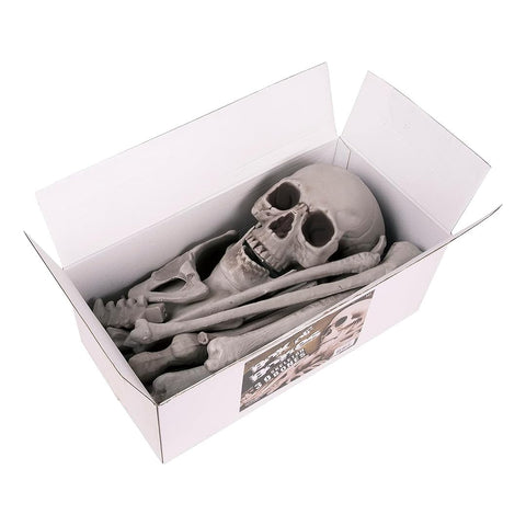 Kangaroo skeleton hands and backbone deliver authentic props for haunting displays.