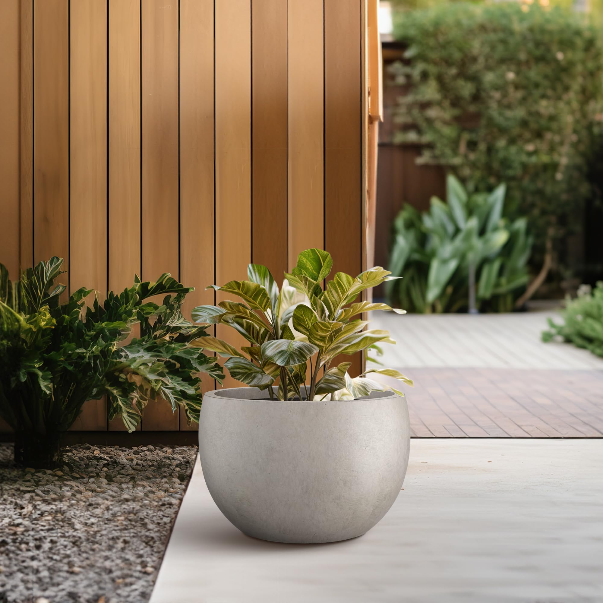 Kante visible pores on the round concrete planter add tactile charm.