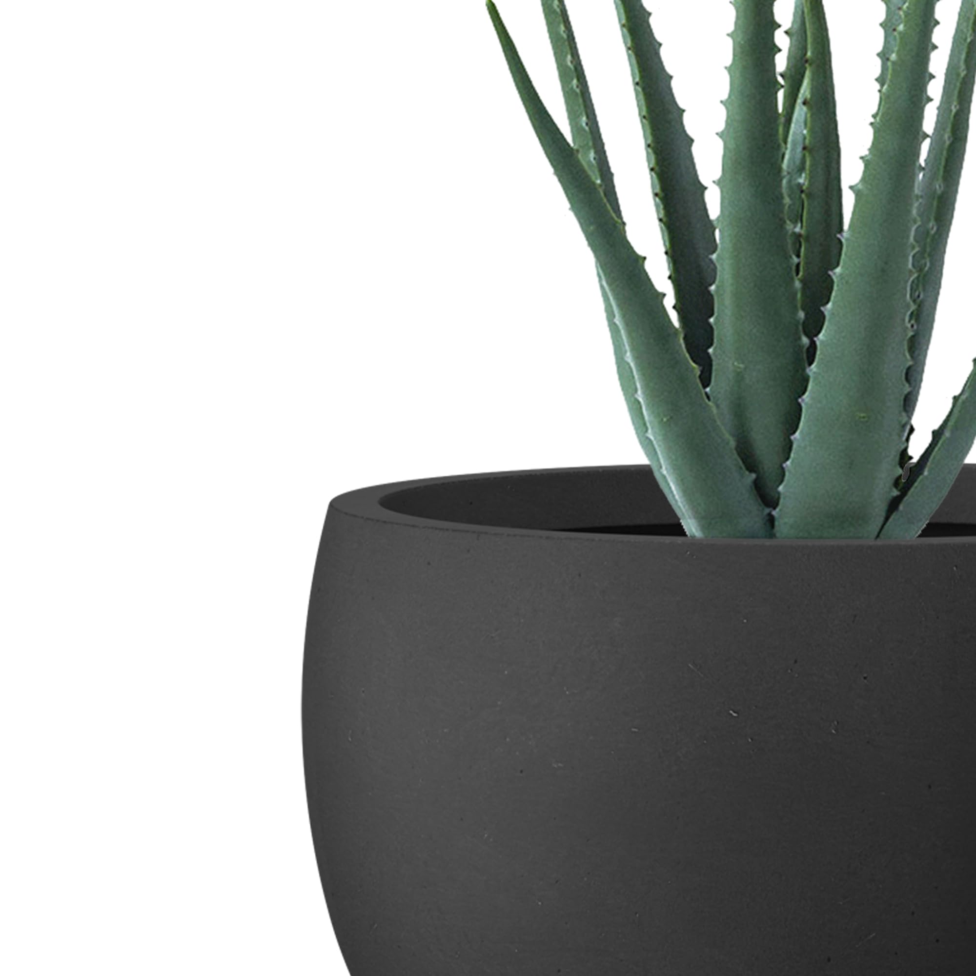 Kante 18-inch round concrete planter demonstrates diverse plant combinations.