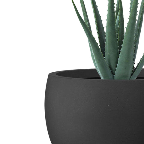 Kante 18-inch round concrete planter demonstrates diverse plant combinations.